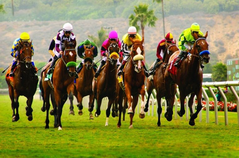 delaware casino park horse racing