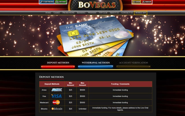 best online casino bovegas